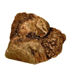 pako-przysmak-premium-gryzak-psa-naturalny-korzen-wrzosca-l-300-500g