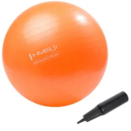 pilka-gimnastyczna-rehabilitacyjna-55cm-trening-fitness-anti-burst-z-pompka
