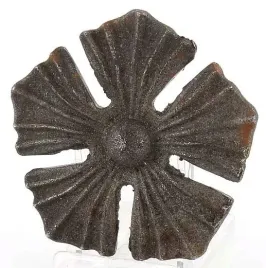 kwiat-52-134-elementy-kute-ogrodzenie-brama-balus