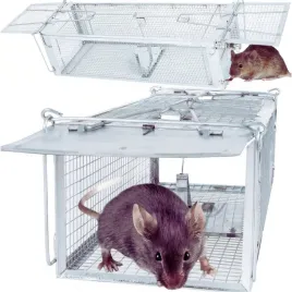 pulapka-na-myszy-kuny-szczury-gryzonie-zywolapka-skuteczna-ocynkowana