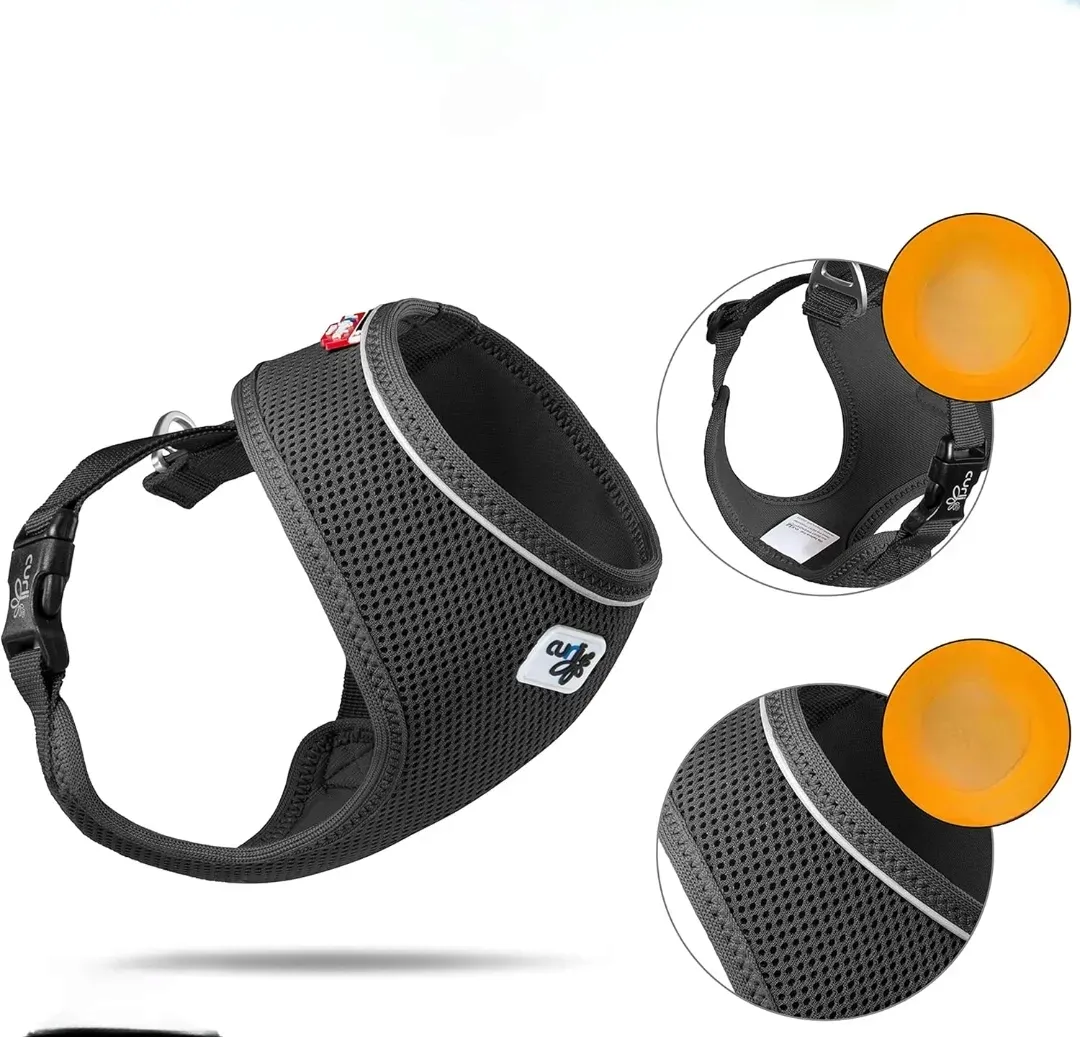 szelki-dla-psa-xl-klamra-basic-harness-air-mesh-curli