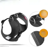 szelki-dla-psa-xl-klamra-basic-harness-air-mesh-curli-marka-curli