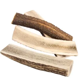 smart-dogs-naturalny-gryzakporoze-jelenia-rozmiar-xxl-easy-120-200g-20cm