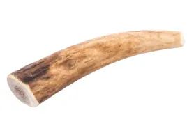 gryzak-z-poroza-jelenia-smart-dogs-rozmiar-s-hard-10-cm-25-45g-1-sztuka