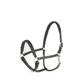 kantar-dla-konia-dexter-z-flauszowa-podkladka-czarny-rozmiar-00-foal-cov