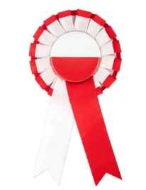 kotylion-narodowy-patriotyczny-z-flaga-polski-polska-odznaka-przypinka-1szt