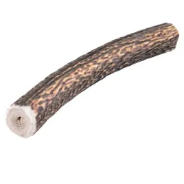 naturalny-gryzak-z-poroza-jelenia-rozmiar-xxl-hard-160-240g