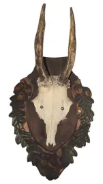 parostki-kozla-rogi-trofeum-mysliwskie-poroze-rogacz-koziolek-z-deska