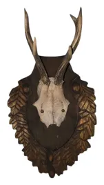 parostki-kozla-rogi-trofeum-mysliwskie-poroze-rogacz-koziolek-z-deska