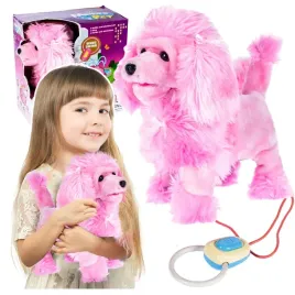 interaktywny-piesek-pudel-pudelek-chodzi-szczeka-sterowany-na-smyczy-ns