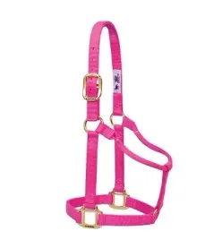 oryginalna-kantarka-nylonowa-weaver-leather-horse-maly-kon-diva-roz