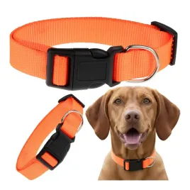 obroza-dla-duzego-psa-klasyczna-na-klamre-sredni-duzy-pies-30-50-cm-l