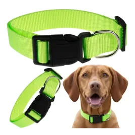 obroza-dla-duzego-psa-klasyczna-na-klamre-sredni-duzy-pies-30-50-cm-l