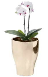 oslonka-ceramiczna-okragla-na-kwiaty-zlota-doiczka-17-cm