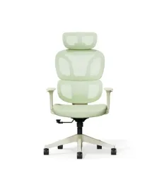 ergonomiczne-krzeslo-flexispot-bs5-zielone-135-poduszka-chmura