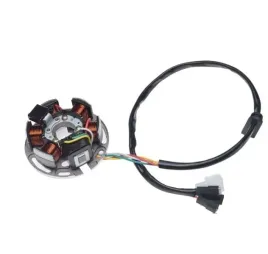 stator-iskrownik-stojan-6-cewek-do-derbi-senda-2008
