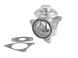 zawor-wahler-7496d-1-agr-audi-vw-seat-skoda-tdi