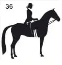 naklejka-na-samochod-do-stajni-wzor-36