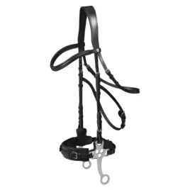 oglowie-hackamore-dla-konia-waldhausen-x-line-czarne-cob