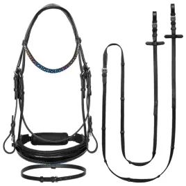 oglowie-dla-konia-equestrian-queen-dione-teczowe-krysztalki-czarne-full