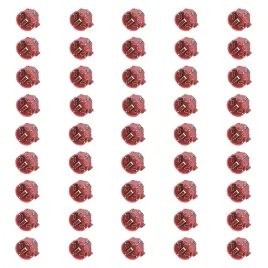 50x-edo-technic-puszka-laczeniowa-do-gk-podtynkowa-fi-60-plytka-wkrety