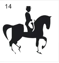 naklejka-na-samochod-do-stajni-wzor-14-srebrna