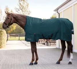 derka-dla-konia-padokowa-przeciwdeszczowa-waldhausen-arctic-petrol-155