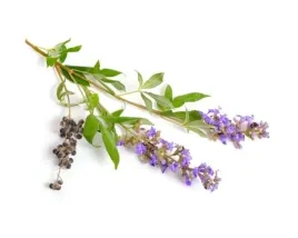 niepokalanek-pospolity-equiherbs-owoc-doypack-1000g