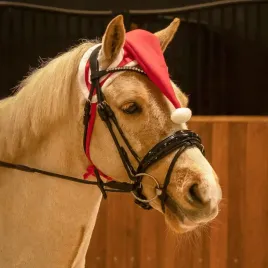czapka-dla-konia-qhp-christmashorsehat-swiateczna-czapka-mikolaja-full