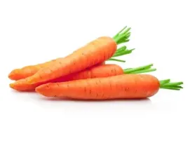 marchew-dla-koni-equiherbs-1kg