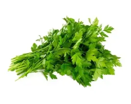 pietruszka-equiherbs-nac-500g
