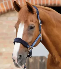kantar-dla-konia-premier-equine-fleece-podszywany-polarem-granatowy-cob