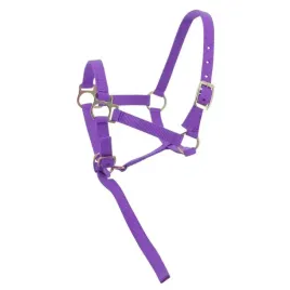 kantar-zrebiecy-ekkia-headcollar-lead-rope-z-uwiazem-fioletowy-foal