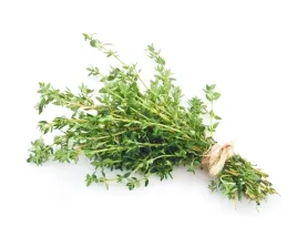 tymianek-equiherbs-eko-torba-1000g