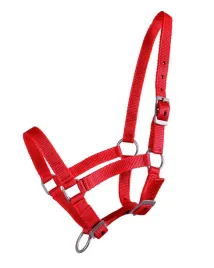 kantar-zrebiecy-qhp-pony-potrojna-regulacja-czerwony-foal