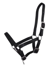 kantar-zrebiecy-qhp-falabella-potrojna-regulacja-czarny-foal