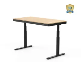 biurko-elektryczne-flexispot-q8-bambusowe-czarne-z-ladowaniem-100kg