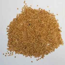 proso-zolte-pasza-ziarno-material-paszowy-1kg