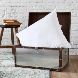 zestaw-2-poduszek-ultra-miekkie-mikrofibra-60x60cm-dodo-do-pralki