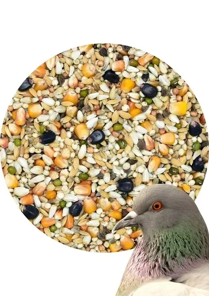 karma-dla-golebi-standard-s-kampol-25kg-marka-kampol