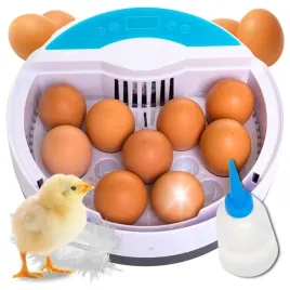 inkubator-wylegarka-automatyczna-klujnik-jaja-kurze-jajka-na-9-jaj-20w
