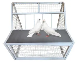 wlot-wylot-dla-golebi-ptakow-belgijski-80-cm-stal-malowana