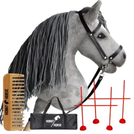 zestaw-hobby-horse-kon-na-kiju-a4-2x-przeszkoda-do-skakania-120cm-grzebien