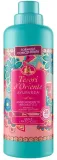 3-x-760ml-ayurveda-tesori-d-oriente-funkcje-odswiezanie-pranie