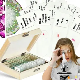 zestaw-edukacyjny-modele-preparatow-mikroskopowych-przekroj-probki-szkielka