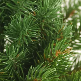 choinka-sztuczna-mala-gesta-zielona-swierk-pe-40-cm-doniczka