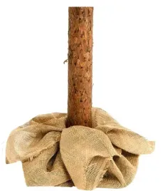 sztuczna-choinka-sosna-diamentowa-180cm-na-pniu-gesta-sniezna-premium