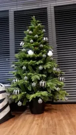 choinka-jak-zywa-jodla-szlachetna-w-donicy-180-cm-sezon-2025-2026