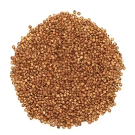 sorgo-czerwone-pasza-ziarno-material-paszowy-1kg