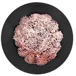 kabel-przewod-spawalniczy-telefonika-h01n2-d-1-m-x-35-mm-35-mm-aq-os